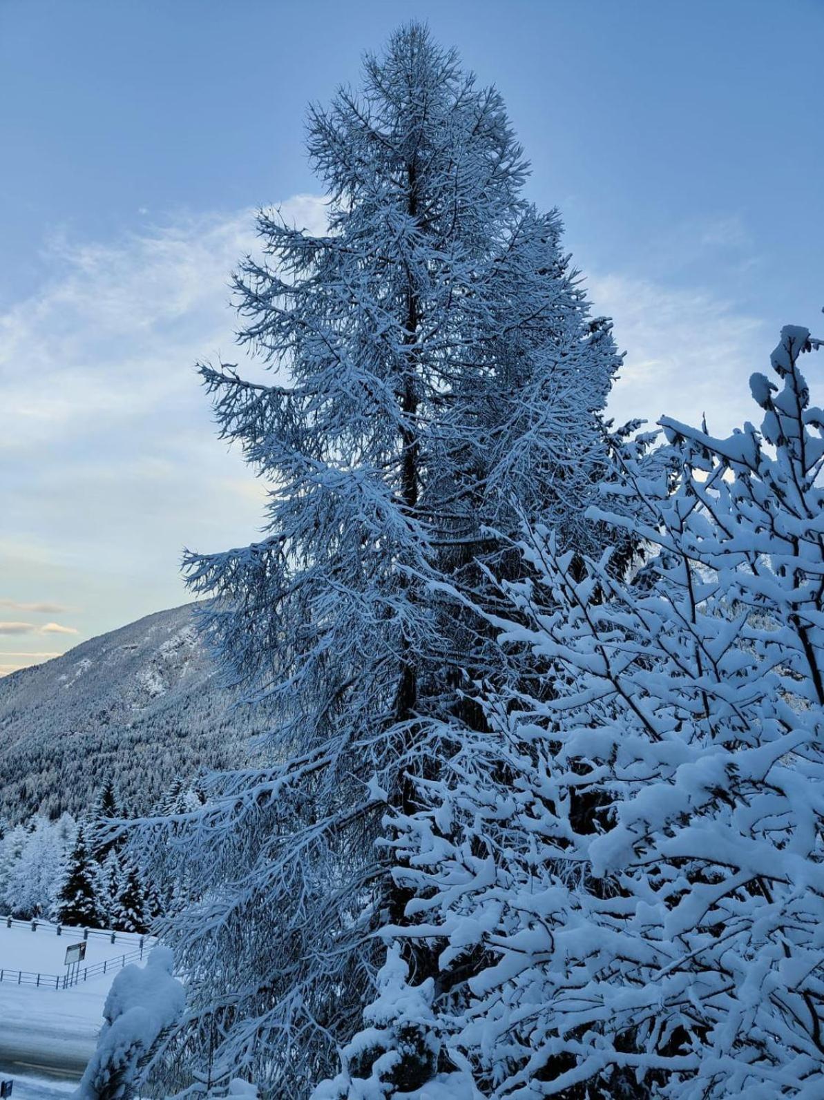 Appartamento I Larici Folgarida Exteriör bild